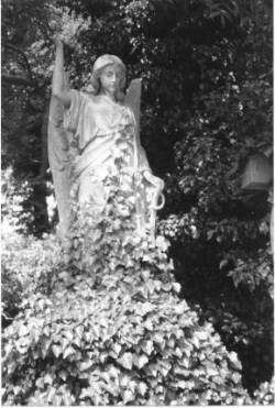 Spazmosity : The Fading of Life